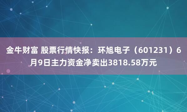 金牛财富 股票行情快报：环旭电子（601231）6月9日主力资金净卖出3818.58万元