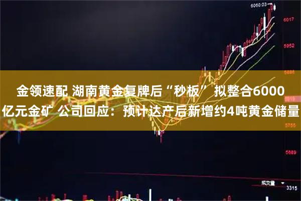 金领速配 湖南黄金复牌后“秒板” 拟整合6000亿元金矿 公司回应：预计达产后新增约4吨黄金储量