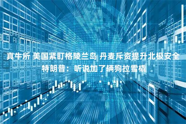 真牛所 美国紧盯格陵兰岛 丹麦斥资提升北极安全 特朗普：听说加了辆狗拉雪橇